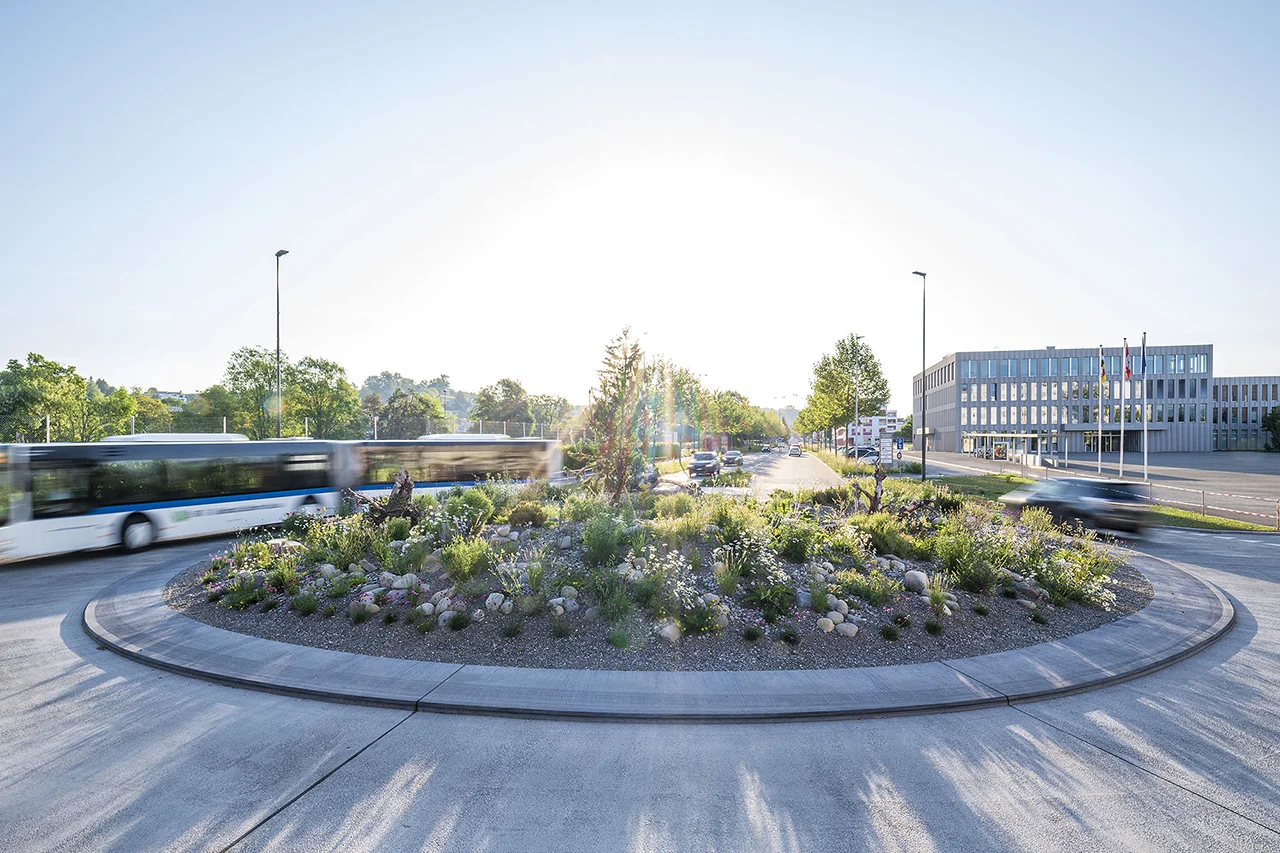 Naturnahe Bepflanzung, Verkehrskreisel in Volketswil